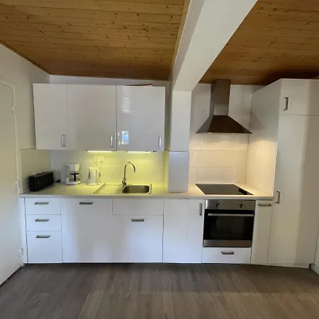 Saint-patrick - Le Cosy Vars (Hautes-Alpes)
